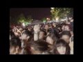 August Burns Red & Bless The Fall Live In Malaysia 2012