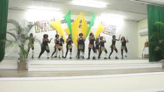 JA BahamaJAC Stepshow 2016 | Deloitte DreamChasers (WINNERS)