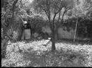 riccardino -the beginning- riccardino -the beginning-