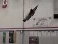 trampoline-world-rec