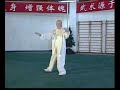 Yang Zhenduo Forma 103, Parte 4 de 4