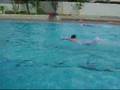 videos de O Revezamento na Piscina Semi-Olímpica