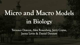 Micro and Macro Models in Biology: Terrence Deacon et al