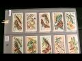 Butterflies & Moths 1904 Players Collectables Cigarette Cards Peacock Red Admiral Tortoise-shell