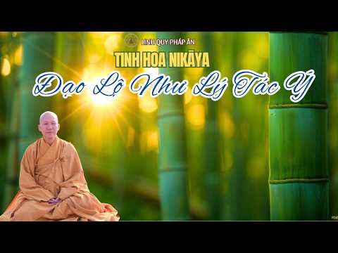 Tinh Hoa NIKAYA - Tinh Cần Như Lý Tác Ý