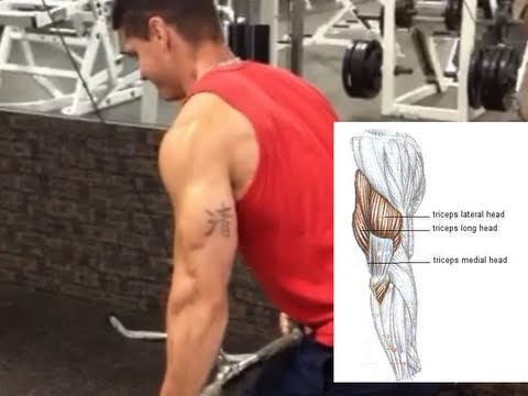 how to isolate long head of triceps