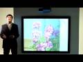 Sanyo PLC XL51 Projector - multimedia projectors