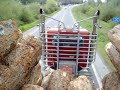 Peterbilt logging truck part two Peterbilt logging truck part two