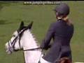 Chevaux Cso