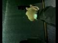 videos de La mia CZ 75b cal. 9x21- tiro lento mirato 25 m.