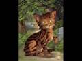 Tigerclaw is Ravenpaw's Sugar Baby