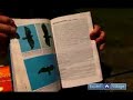 Get Started with Bird Watching : How to Choose Specialty Field Guides for Specific Bird Species