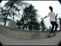 Krook Shuv-It Out