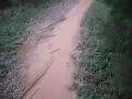 Video #7 - Raw Food For One - Out on the Trails (Take1)