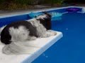 Mitzi Relaxin Mitzi Relaxin
