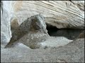 milos-of-venus-part-2.html