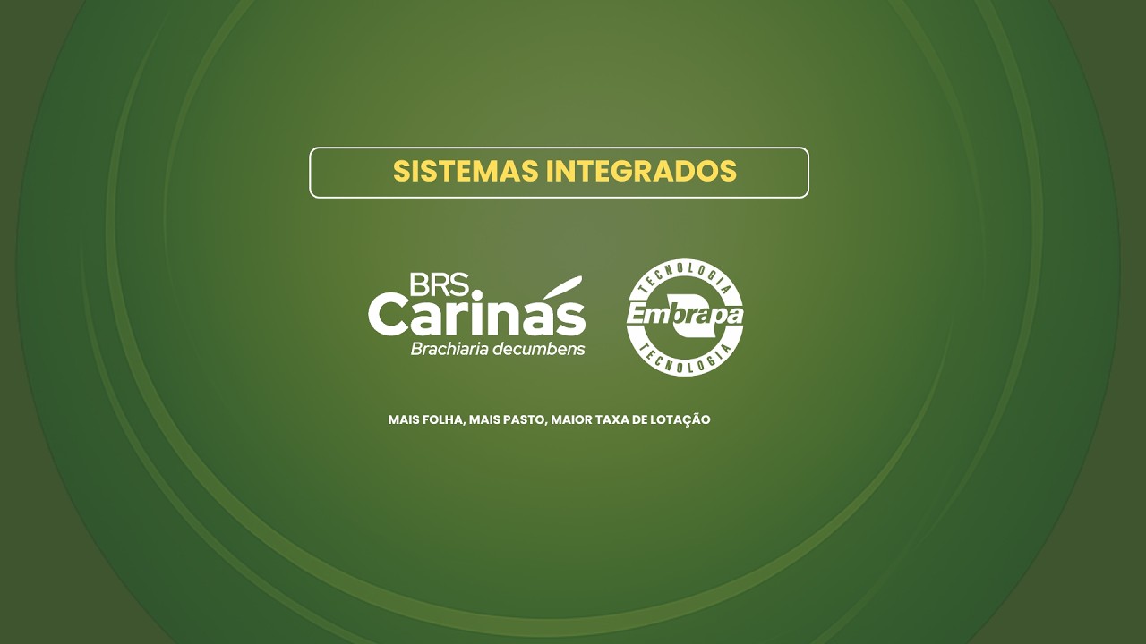 BRS Carinás | Sistemas Integrados