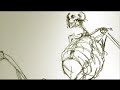 Am�ndio portfolio