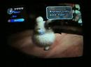 final fantasy crystal chronicles river belle path part 1