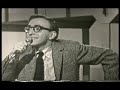 Woody Allen - The Moose