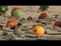 Marine Debris