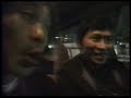 サイサイ5