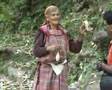 himachal village lady hand spinning wool