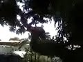 Vomitada do caraiii