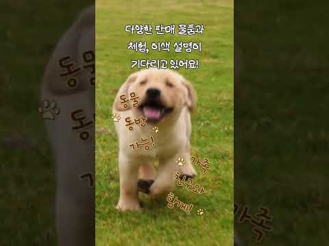 [사회적경제] 2026년 가치해평택 소셜마켓