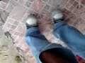 GLOBAL-AUTO-ADORNOS-
