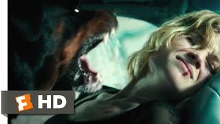 Dont Breathe (2016) - Trapped in a Car Scene (9/10