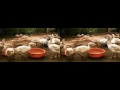 Biodiversity 3D documentary