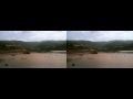 Biodiversity 3D documentary ( yt3d:enable=true)