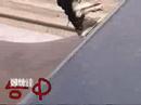Taiwan Roller Tour 2003 taichung (台中站)