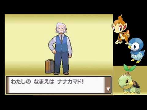 動画