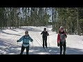 Cross Country Skiing at Gander Newfoundland