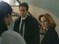 The X Files