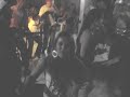 Festa dos Direiteiros-Granja dos Promotores