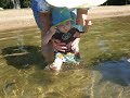 Ben in the lake at the cottage