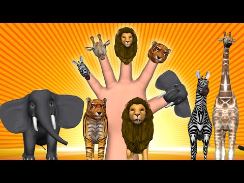 Animal Finger Family - Finger Family Song - 3D Animation Nursery Rhymes & Songs for Children