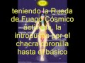 reiki 01, Rueda de Fuego Cósmico y limpieza de chacras. reiki 01, Rueda de Fuego Cósmico y limpieza de chacras.