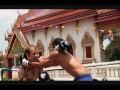 Fight Quest Muay Thai - Final Fights