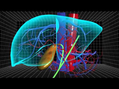 how to recover liver