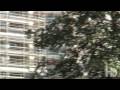 DVC Update (HD) DVC Update (HD)