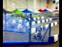 circuito indoor de minimotard de orejo