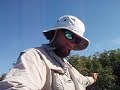 Chokolskee Topwater Snook II