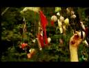 Dream, 2006 Dream, 2006