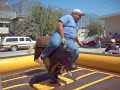 el gordo vs el toro