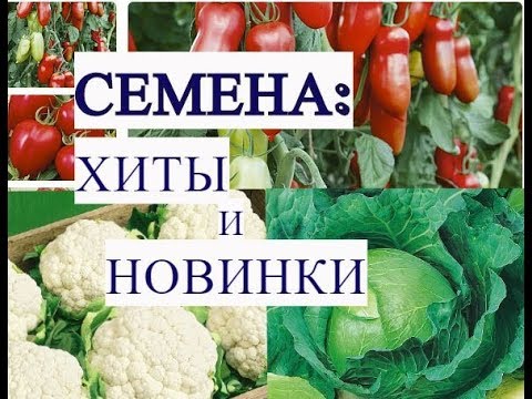 Успейте Заказать Эти Семена! Пока Еще Есть В Наличии.