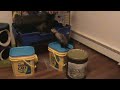 the ferrets pt1